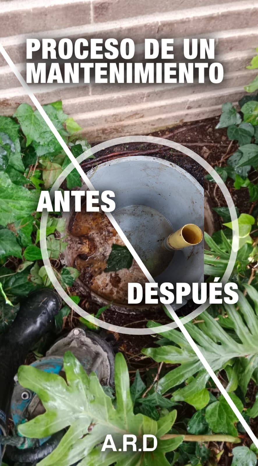 Antes y después - limpieza sistema séptico