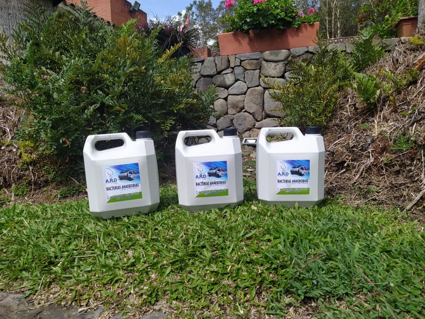 Bacterias anaerobias ARD Pozos Sépticos